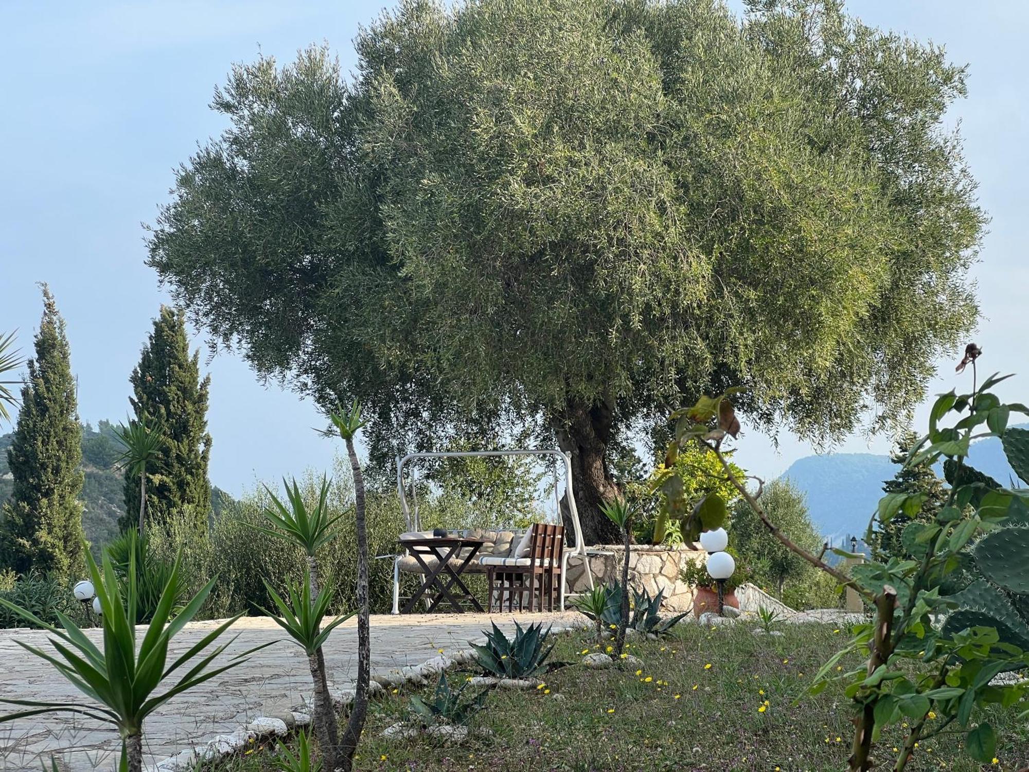 Отель La Casa D' Irene (Adults Only) Айос-Никитас Экстерьер фото